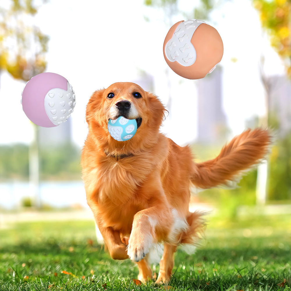 12 PCS Non - Toxic Dog Toy Ball Hard Rubber Solid Ball Cleaning Teeth Durable To Chew And High Rebound Great Pet Play Training Supplies - 5 - CJ