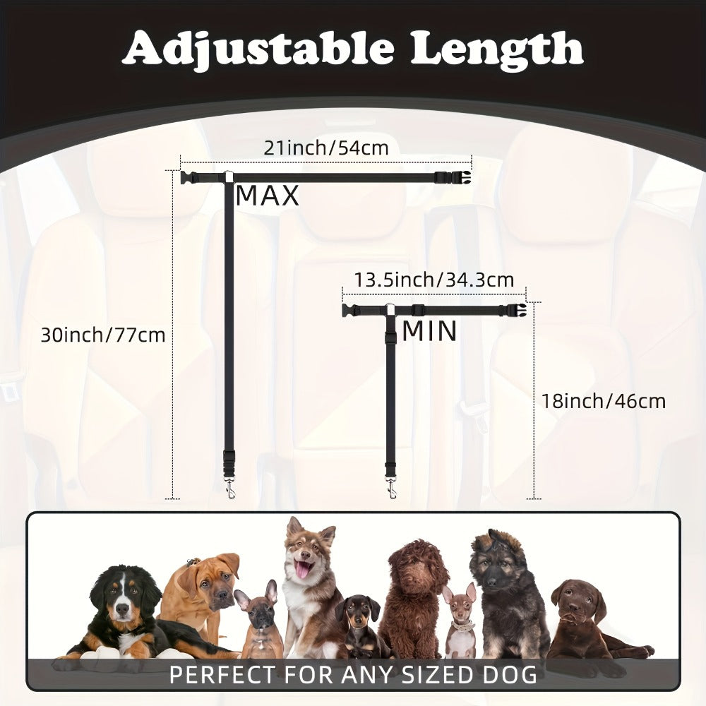 The Two - Piece Dog Leash Set Is Made Of Wear - Resistant And Skin - Friendly Materials. With Excellent Quality, It Meets Various Travel Needs Of Dogs. - 5 - CJ