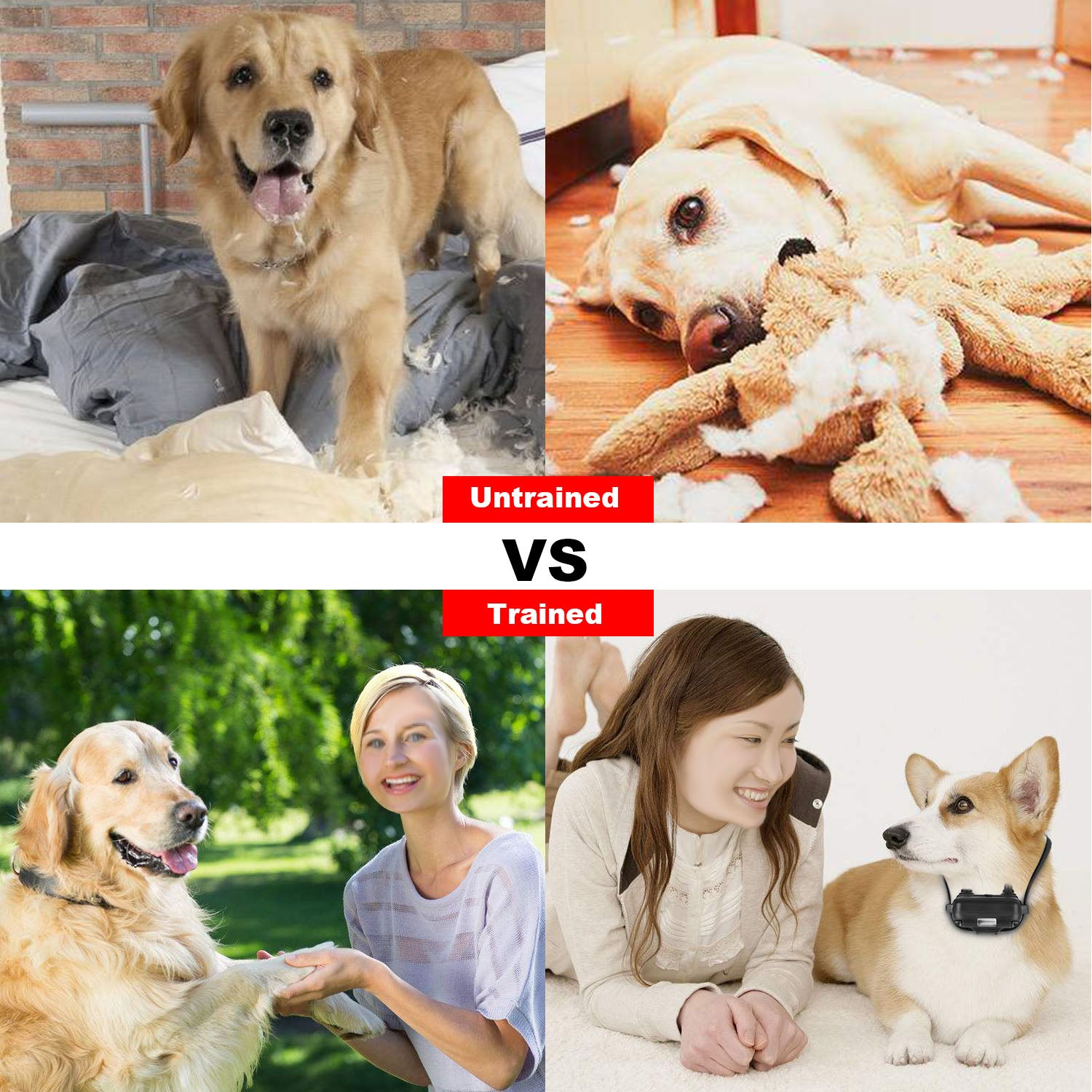 1Pc Dog Training Collar With Remote IP67 Waterproof Pet Trainer 300mAh Rechargeable 875 Yard Remote Control 4 Modes Adjustable Level - 5 - CJ