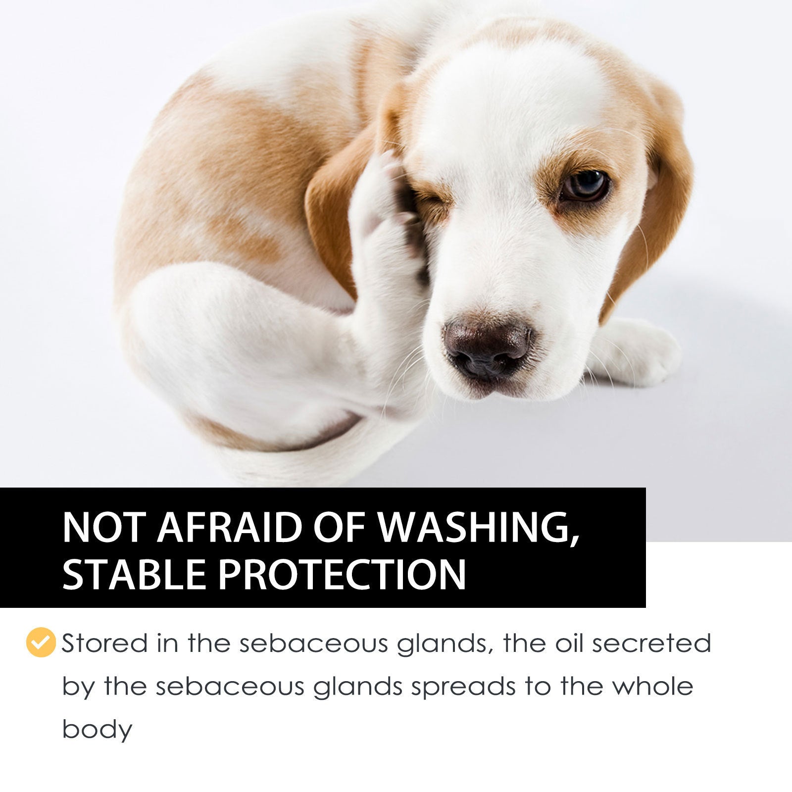 Dog Cat Drops Spray Cleaning Remove Lice Tick Flea - 0 - CJ