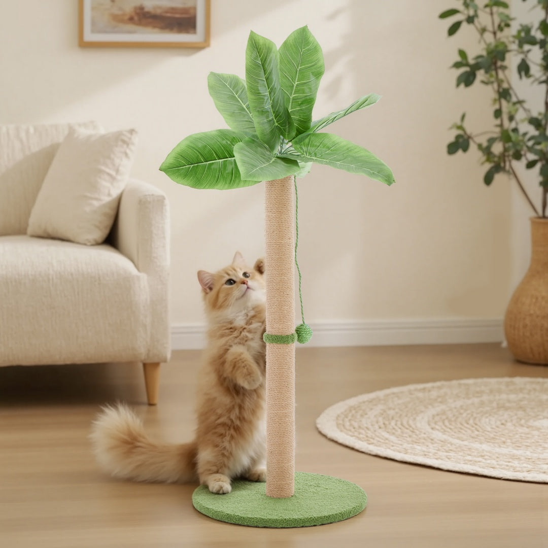 Cat Scratching Post, 33 Cat Scratcher Tall Scratching Posts With Dangling Ball For Indoor Cats - 5 - CJ