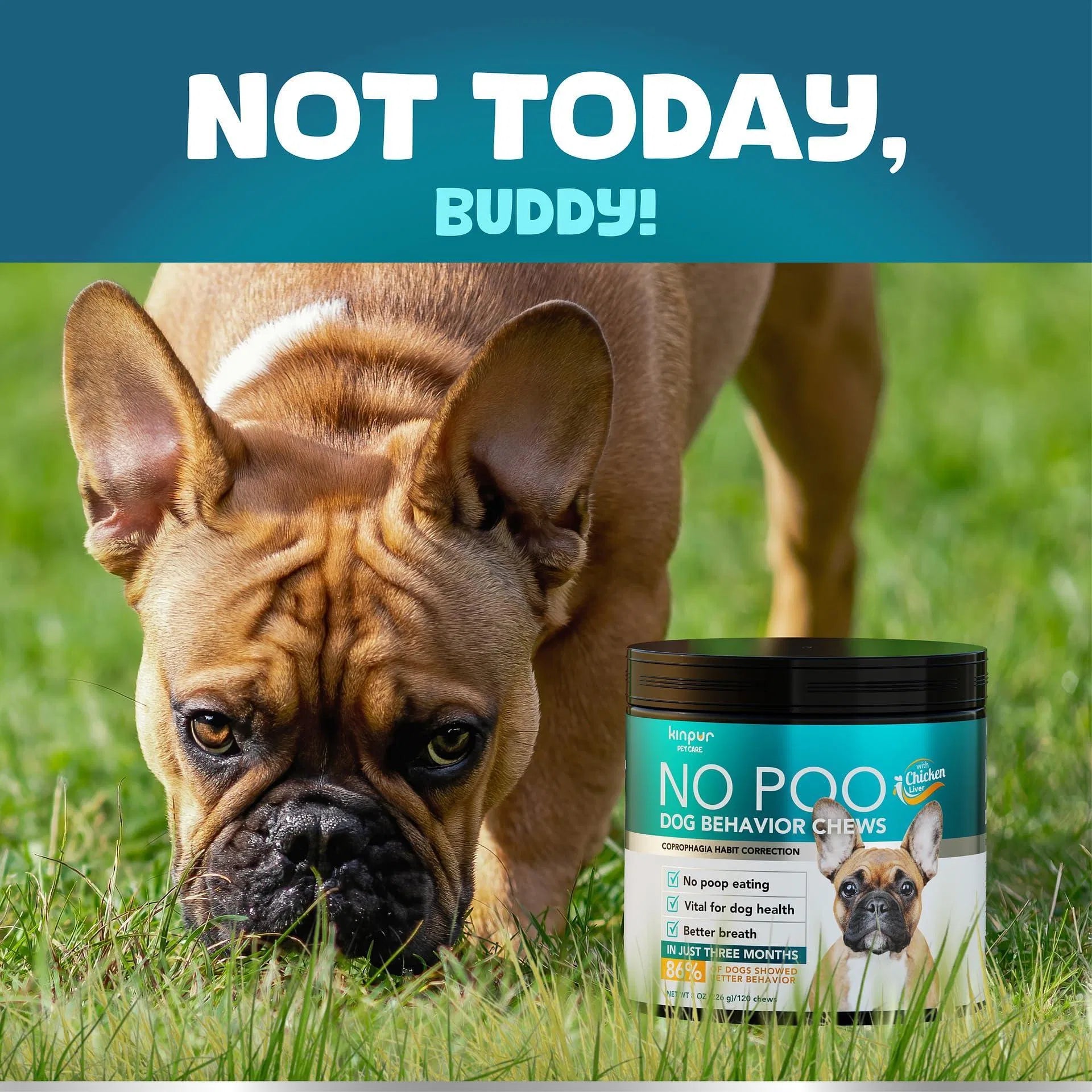 No Poo Chews For Dogs Stop Poop Eating Behavior Probiotics And Digestive Enzymes For Dogs Bad Breath Support For All Breeds Digestive And Gut Health Supplement 180 Soft Chews - 5 - CJ