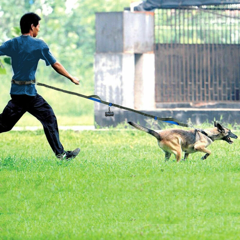 Amazon direct pet supplies multi - function running reflective pull dog leash double elastic dog leash traction - 0 - CJ