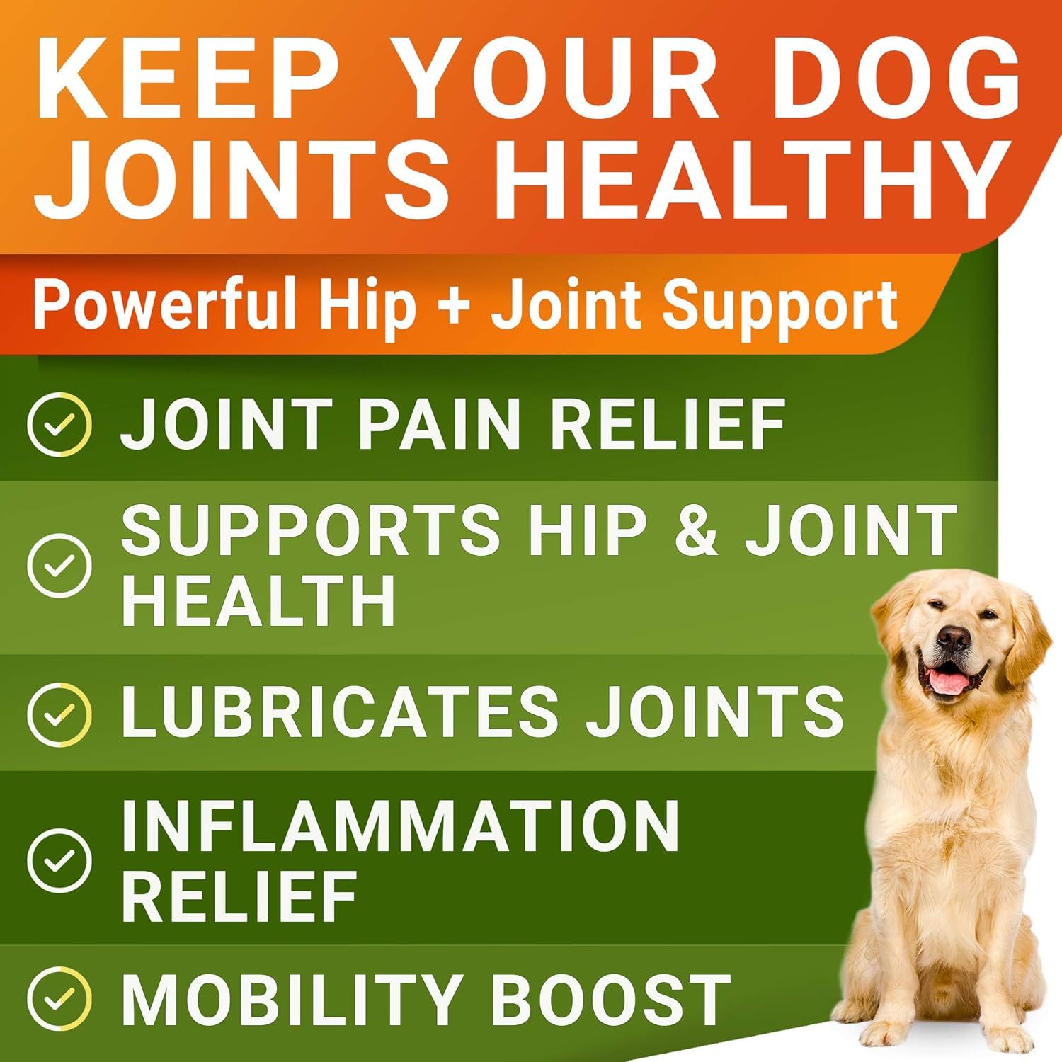 Youmile Hip & Joint Health Supplement For Dogs 120 Chews, Glucosamine Chondroitin MSM Dog Chews With Hyaluronic Acid, Liver Flavored Bone & Joint Support Supplement, For All Breeds - 5 - CJ