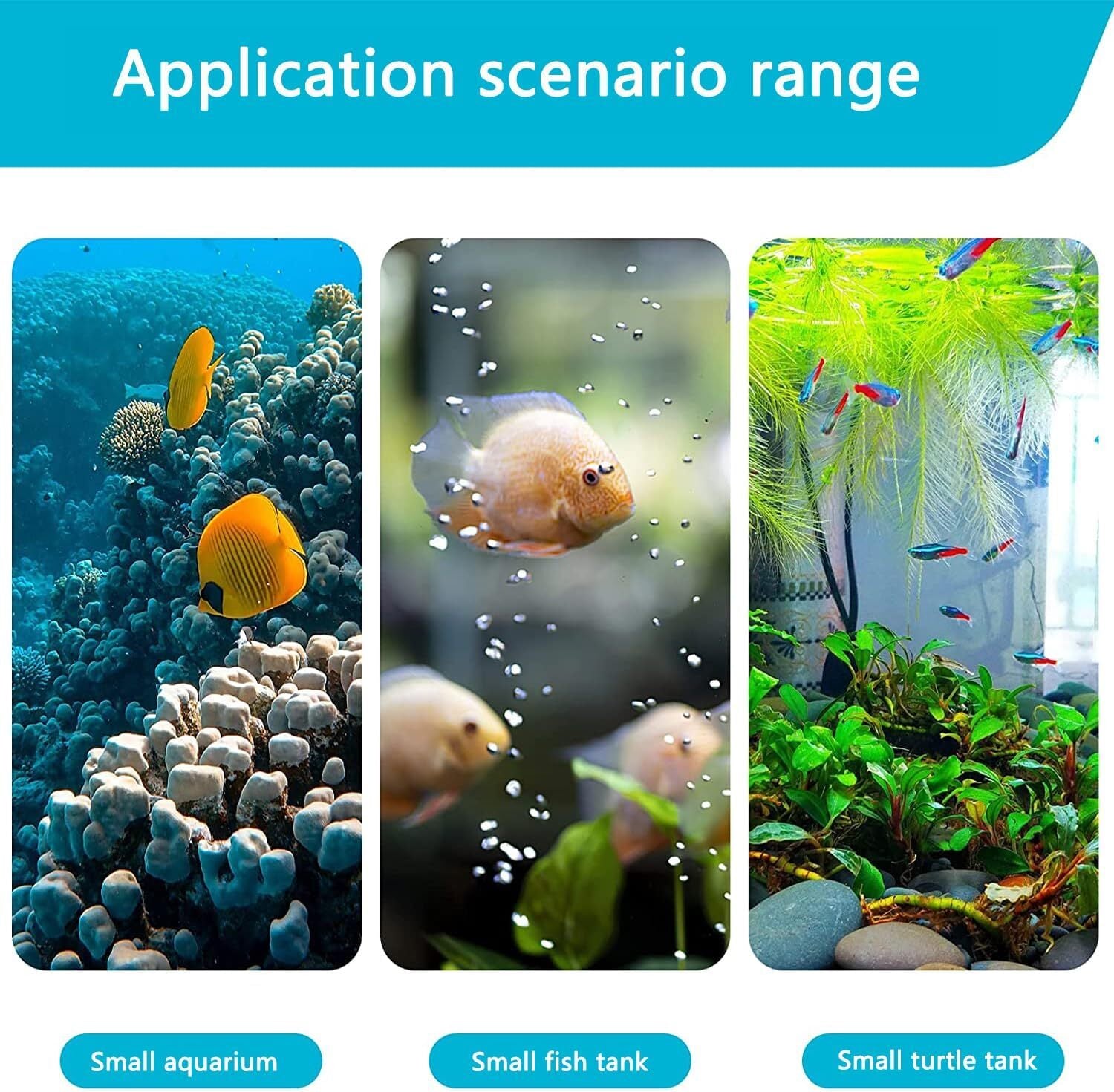 3 - in - 1 Aquarium Filter And Water - 5 - CJ