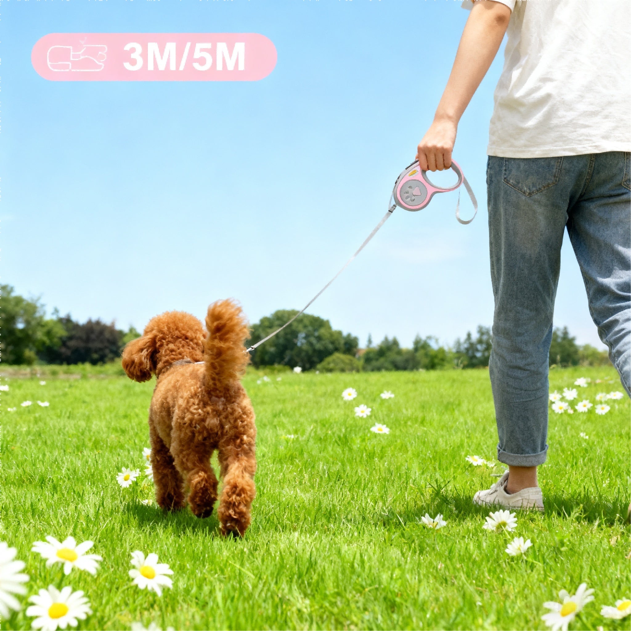 The Puppy's 3,5 - meter Nylon Dog Skin Automatically Expands And The Durable Cat Cable Mystery Box In Color - 5 - CJ
