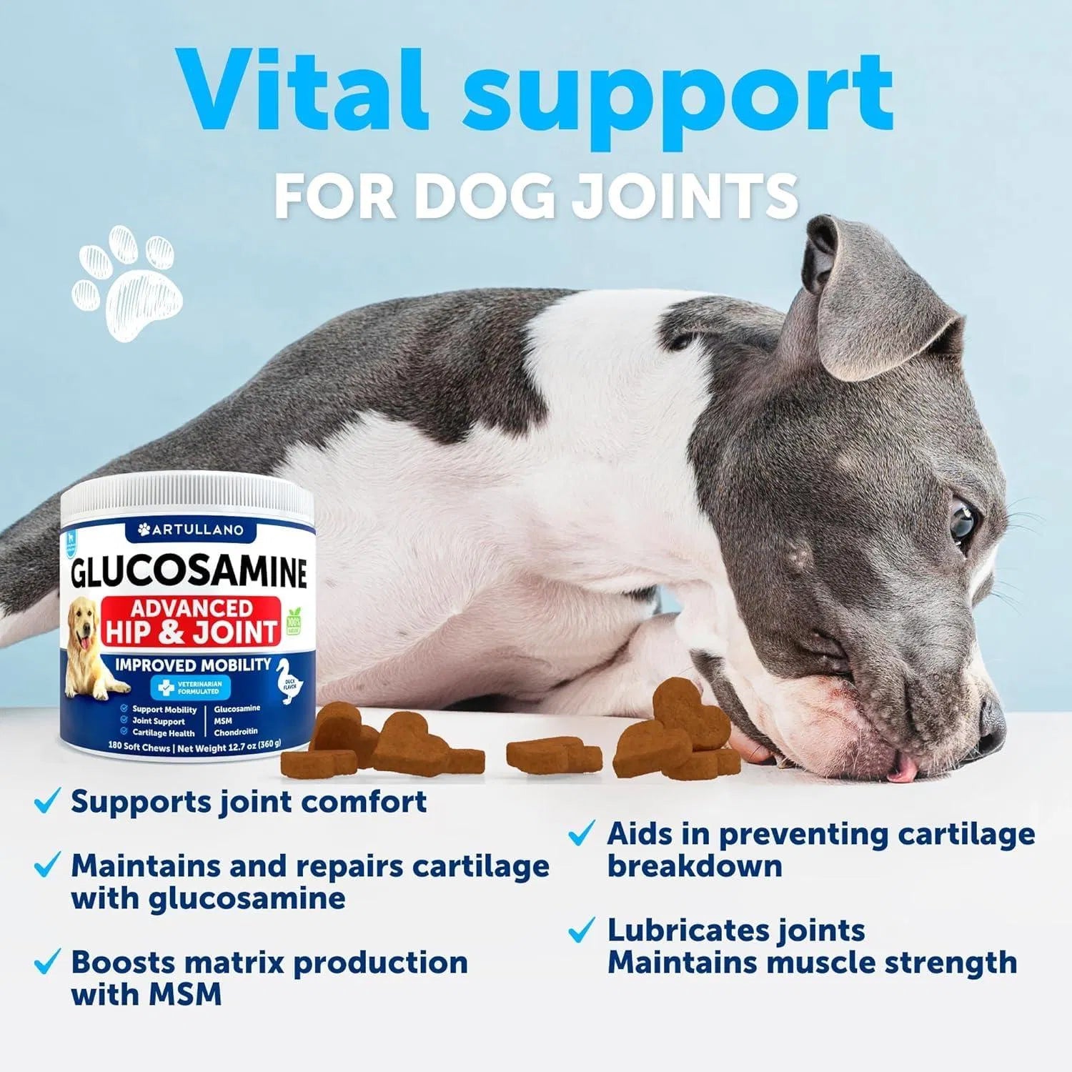 Glucosamine For Dogs Hip And Joint Supplement For Dogs With Arthritis Chews With Chondroitin Hemp Oil MSM Canine Joint Pain Relief Health Mobility Support For Large Breeds 120 Soft Treats - 5 - CJ
