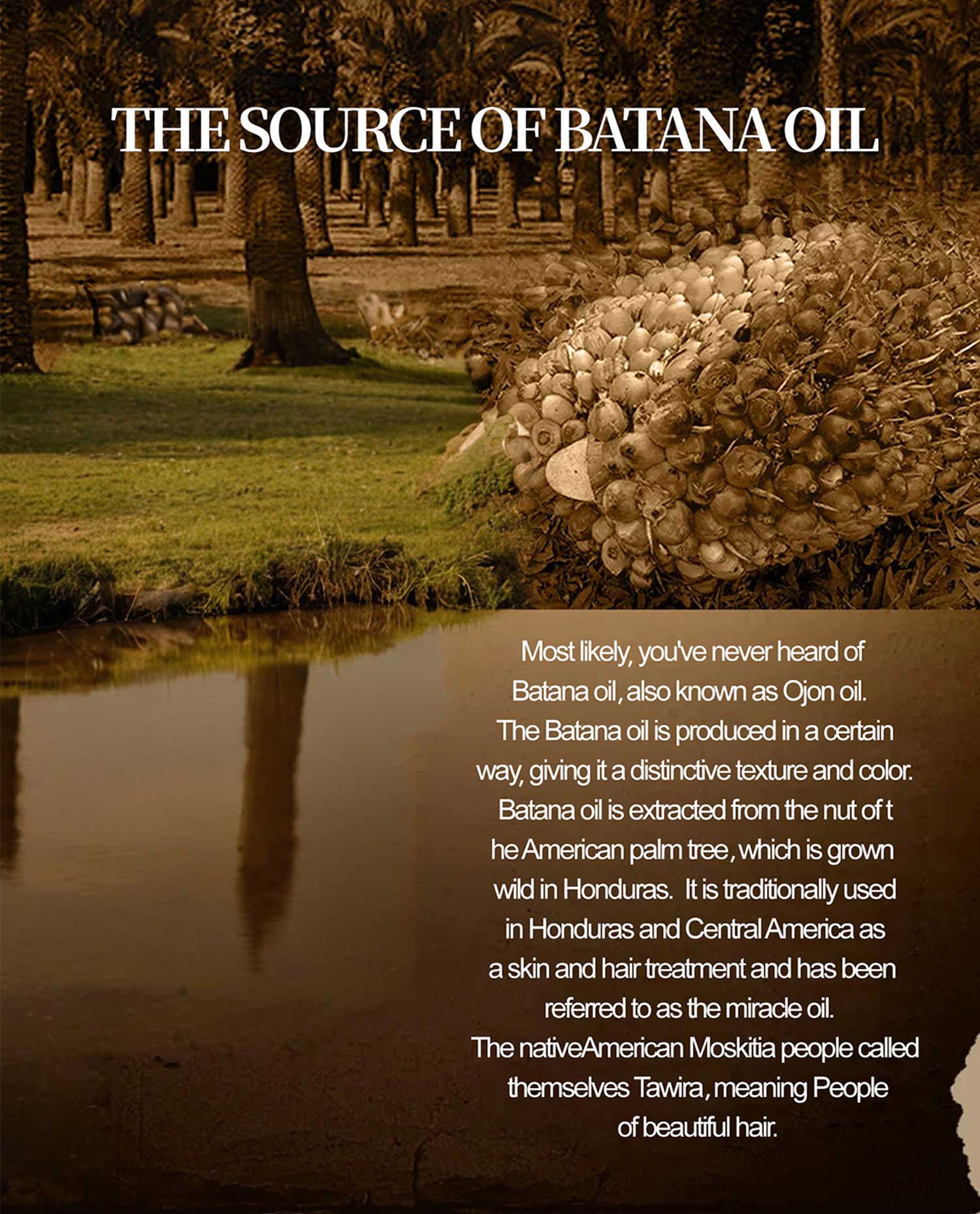 Batana Hair Care Oil - 5 - CJ