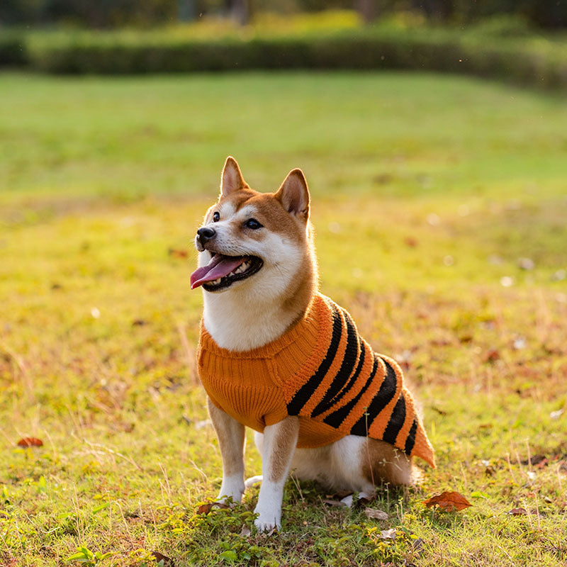 Halloween Dog Sweaters Pet Costume Teddy Warm Leisure Sweater Cosplay Clothes For Dogs Pets Outfits - 0 - CJ
