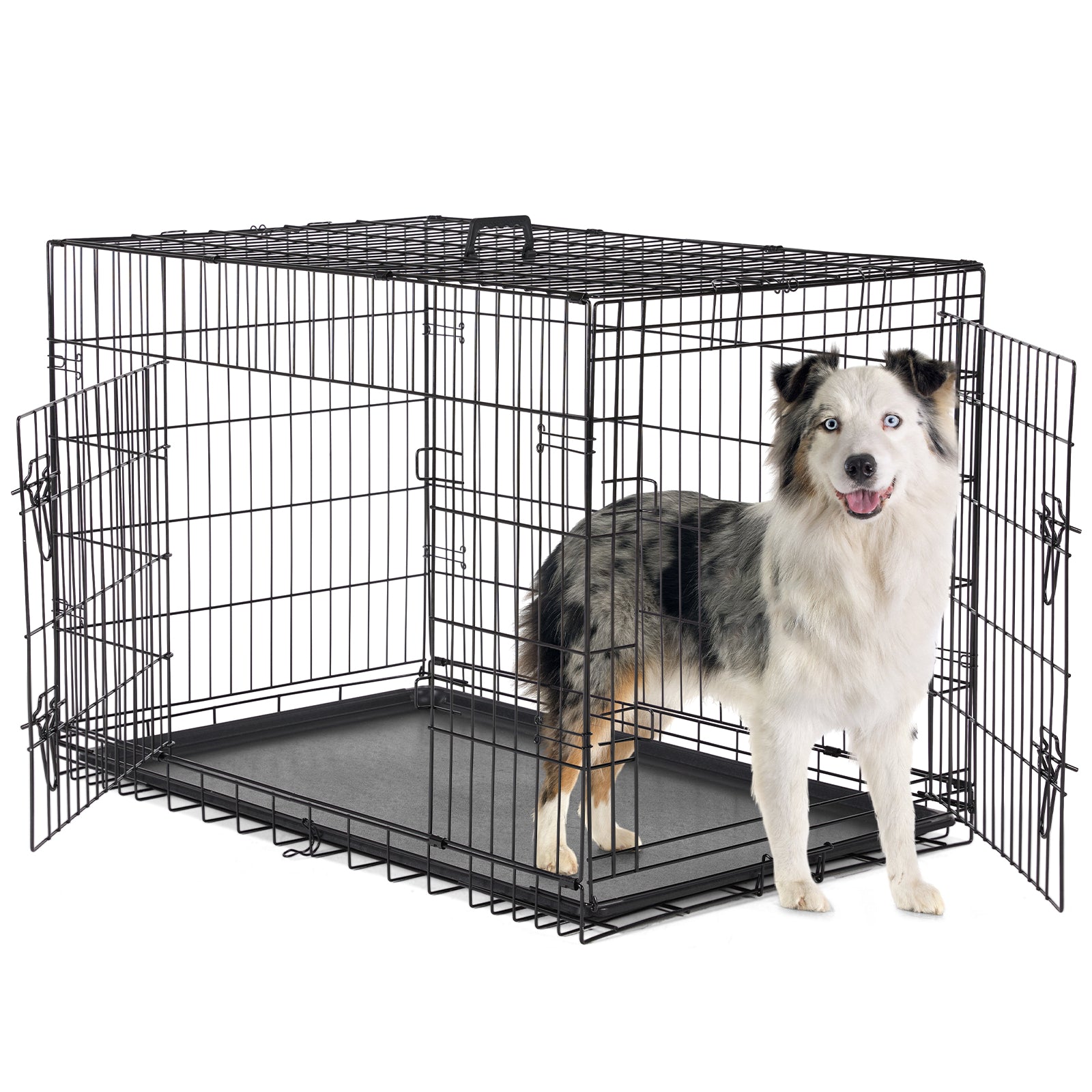 A Dog Cage With Two Doors - 5 - CJ