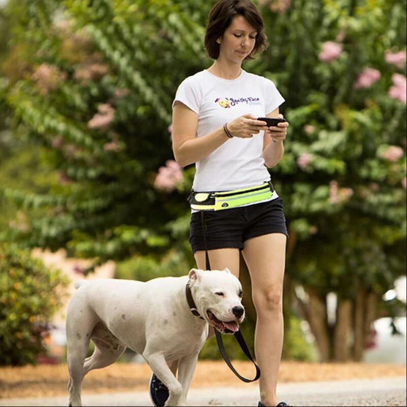 Hands Free Dog Leash Pet Walking And Training Belt With Shock Absorbing Bungee Leash For Up To 180lbs Large Dogs Phone Pocket And Water Bottle Holder - 4 - CJ