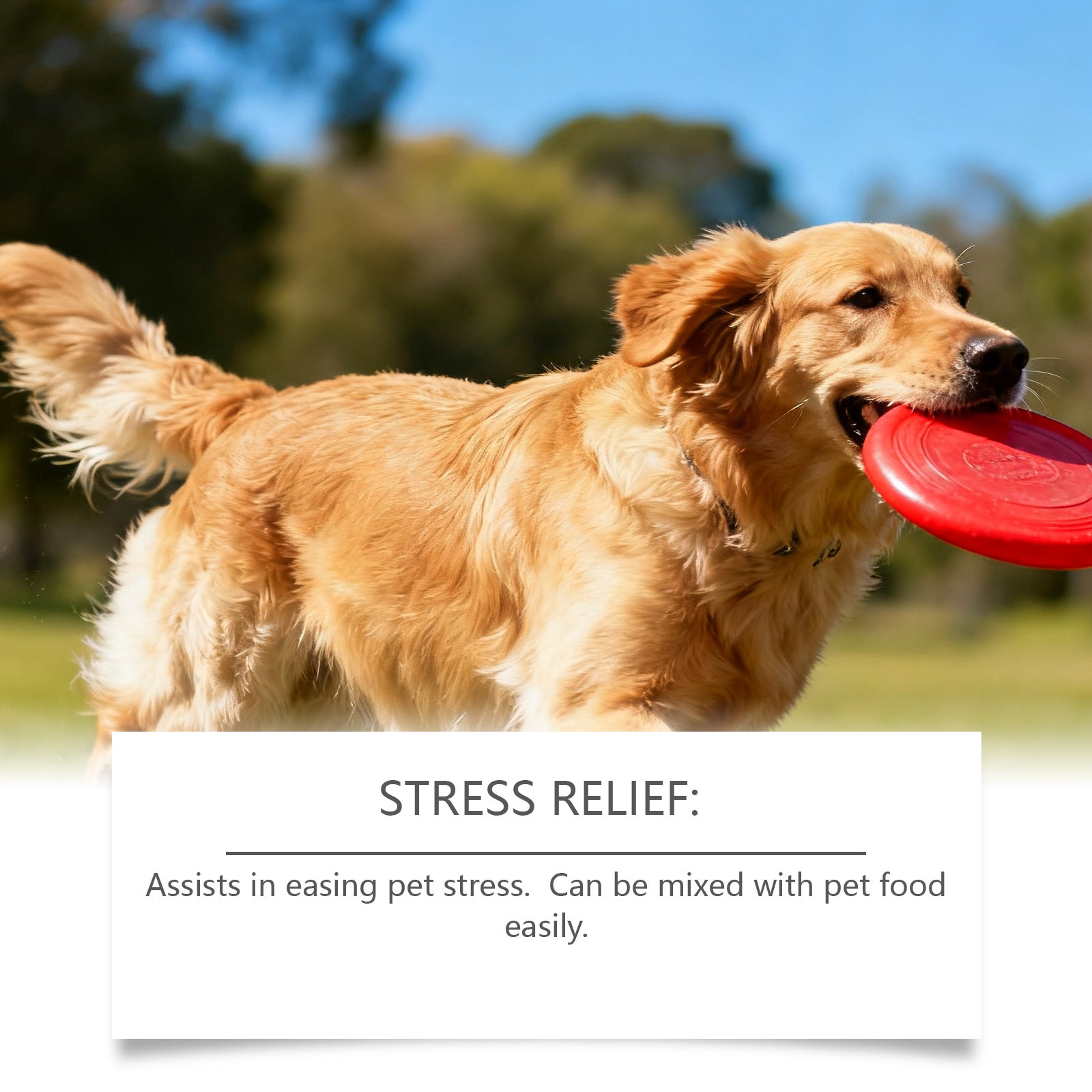 Dog Advanced Melatonin Drops - 0 - CJ