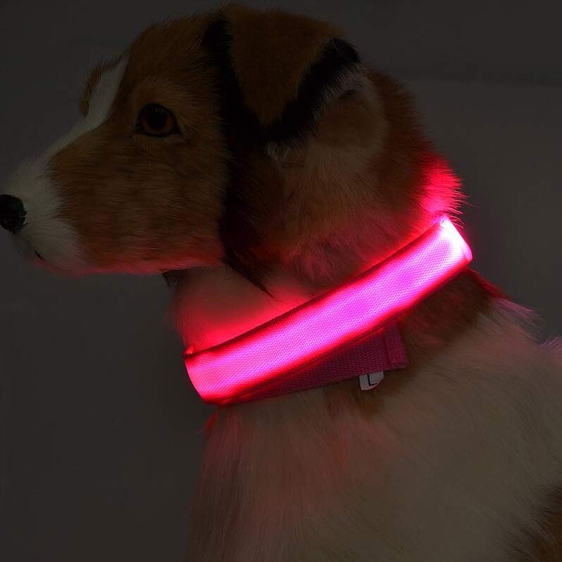 Nylon LED Pet Dog Luminous Collar Night Safety Flashing Glow in Dark Dog Cat Leash Adjustable Pet Supplies - 0 - CJ