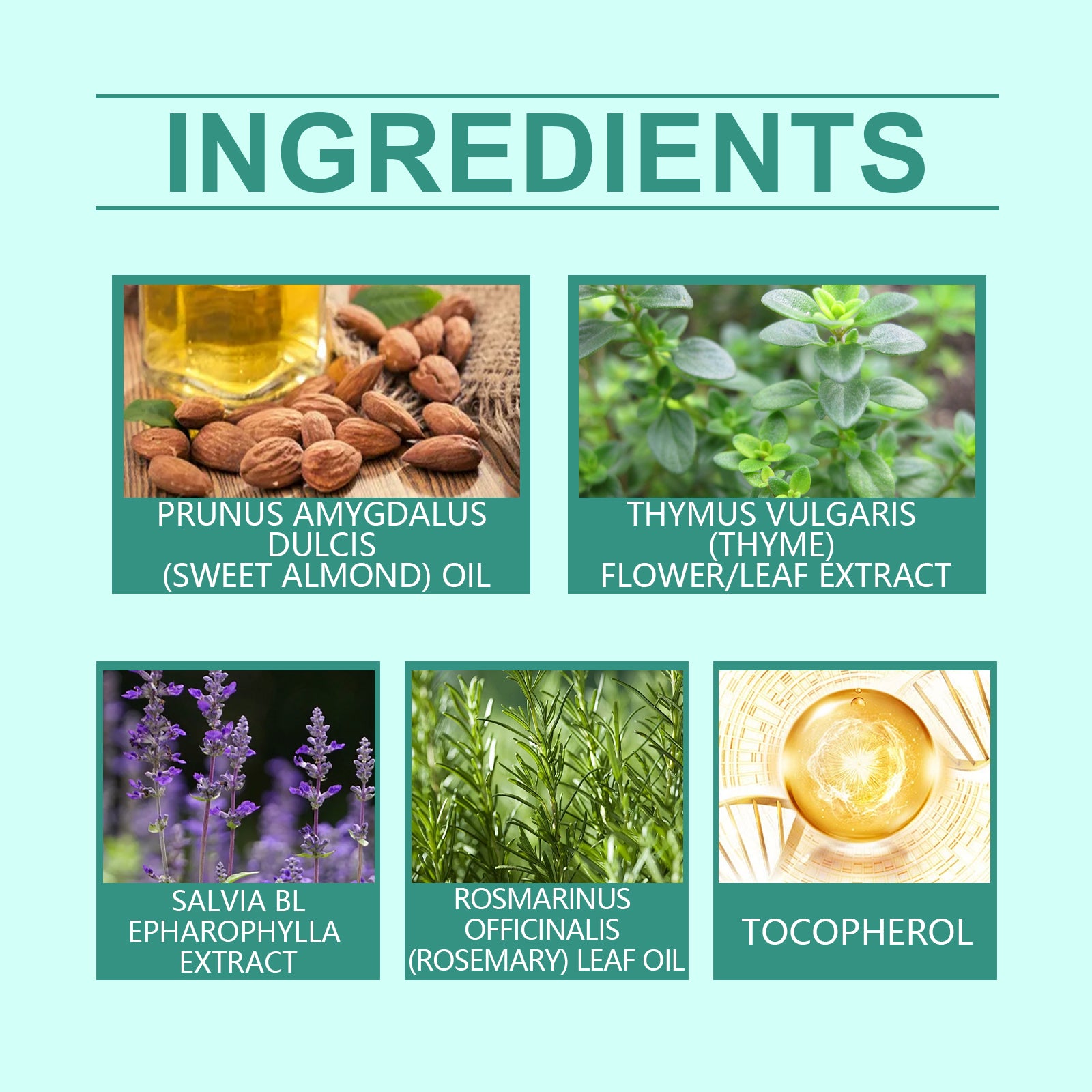 West&Month Body Thyme Cream Plant Essence Moisturizes And Moisturizes Skin Daily Body Care Cream - 5.0 - CJ