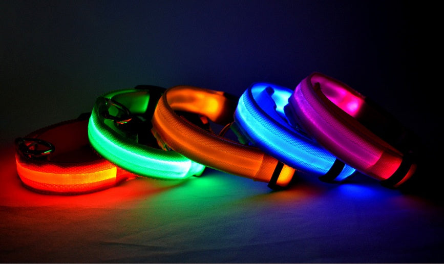 Nylon LED Pet Dog Luminous Collar Night Safety Flashing Glow in Dark Dog Cat Leash Adjustable Pet Supplies - 0 - CJ