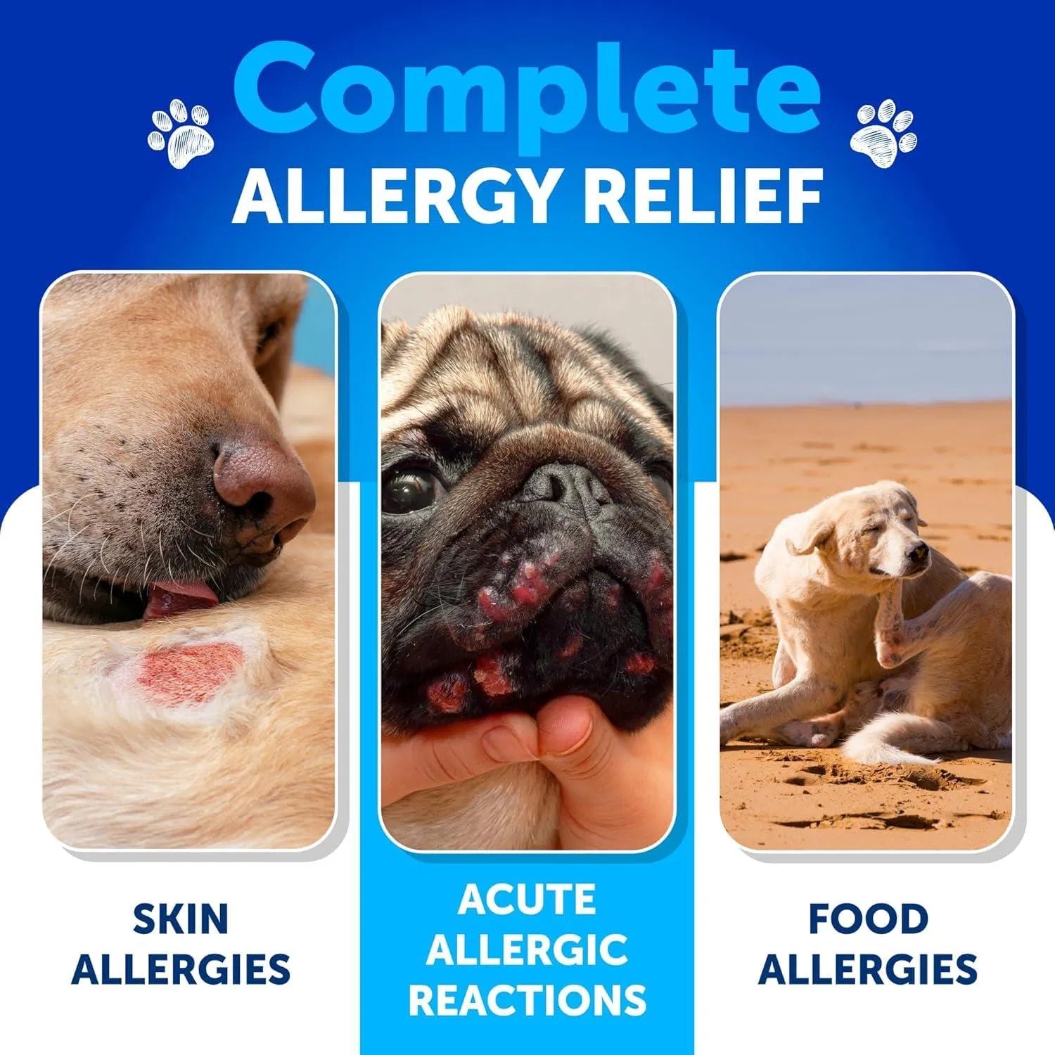Probiotics For Dogs Support Gut Health Itchy Skin Allergies Immunity Yeast Balance Dog Probiotics And Digestive Enzymes With Prebiotics Reduce Diarrhea Gas 180 Probiotic Chews For Dogs - 5 - CJ