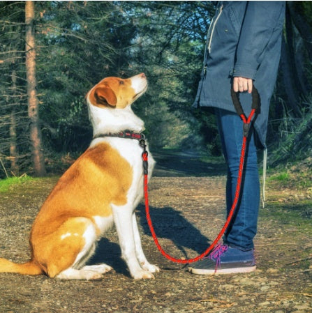 Reflective Dog Leash Nylon Pet Dog Leash Rope For Small Medium Large Dogs Walking Training Pet Suppiles - 0 - CJ