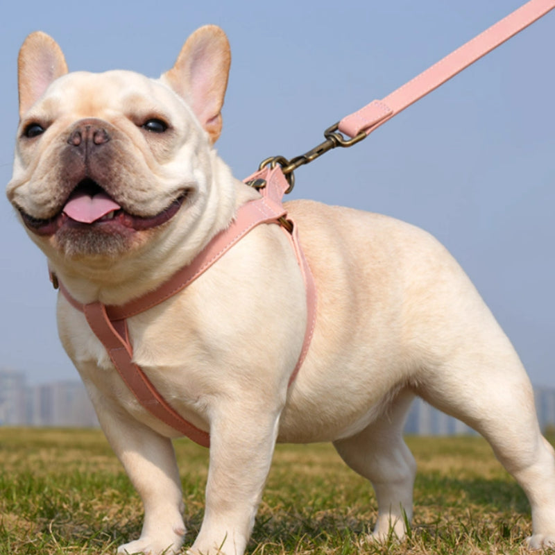 Dog Vest - style Pet Harness For Small And Medium - sized Dogs - 0 - CJ