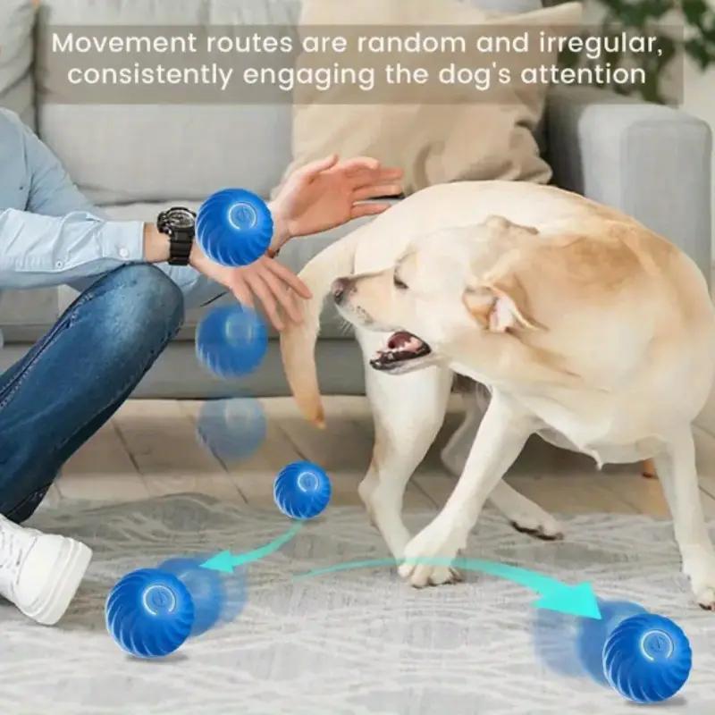 Blue And Orange Pet Bouncing Ball Fun Pet Bouncing Ball For Cats And Dogs,Self - pickup Only - 5 - CJ