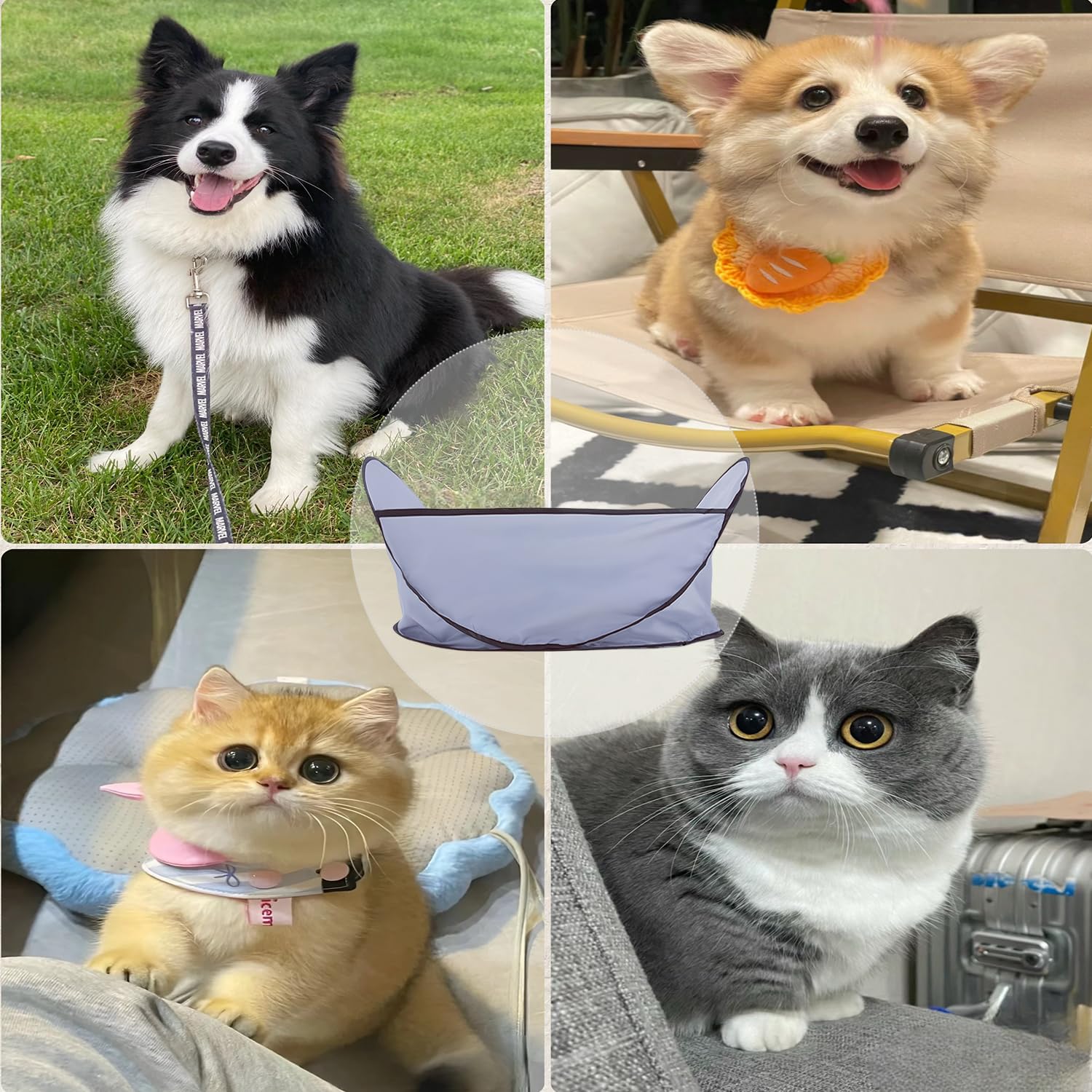 Easy Dog And Cat Hair Catcher Tent - Waterproof Adjustable Neat Barbering Cape For Easy Trimming And Shaving Pet Grooming - 5 - CJ