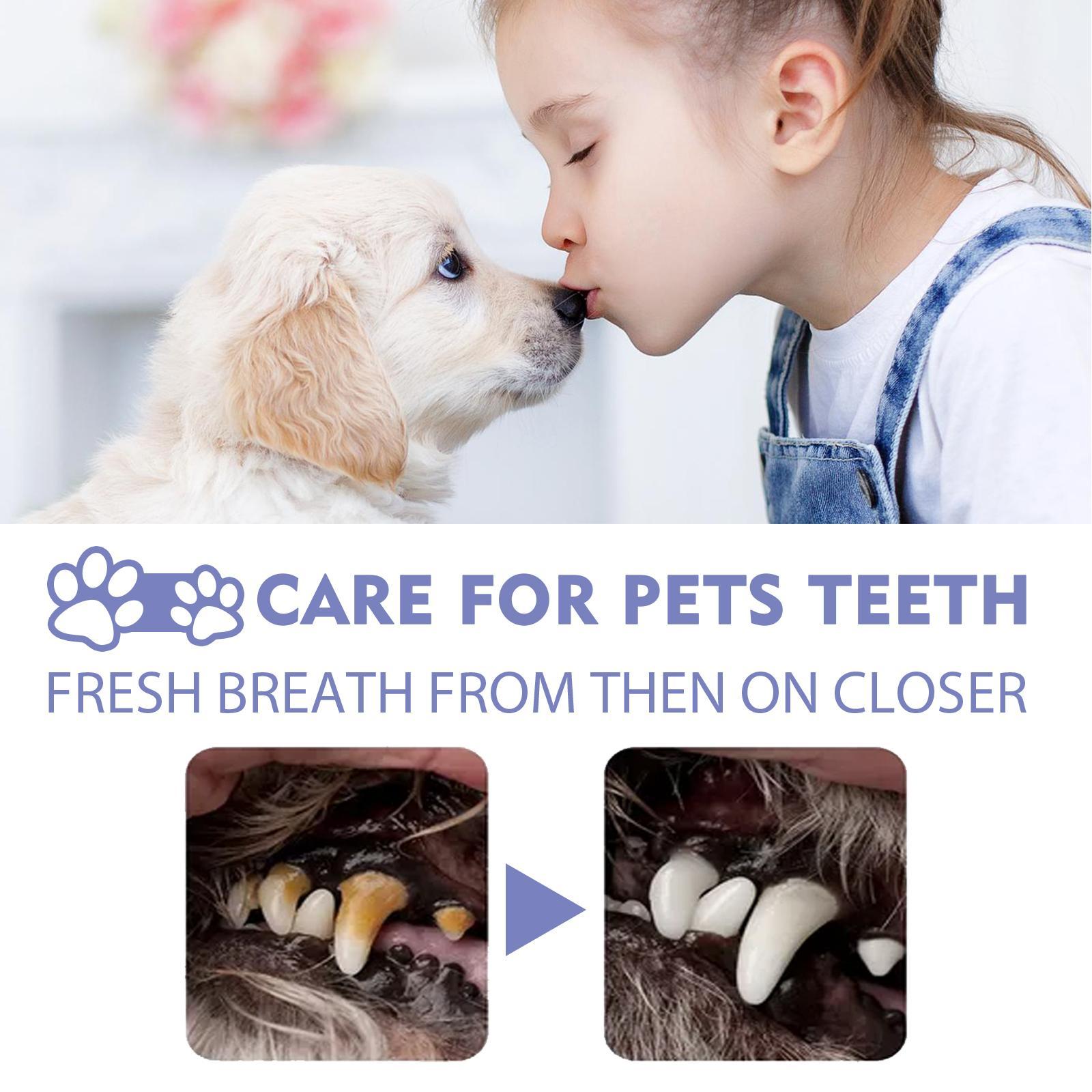 Yegebang Cat And Dog Teeth Cleaning Spray Pet Oral Cleaning Deodorizing Fresh Breath - 5 - CJ