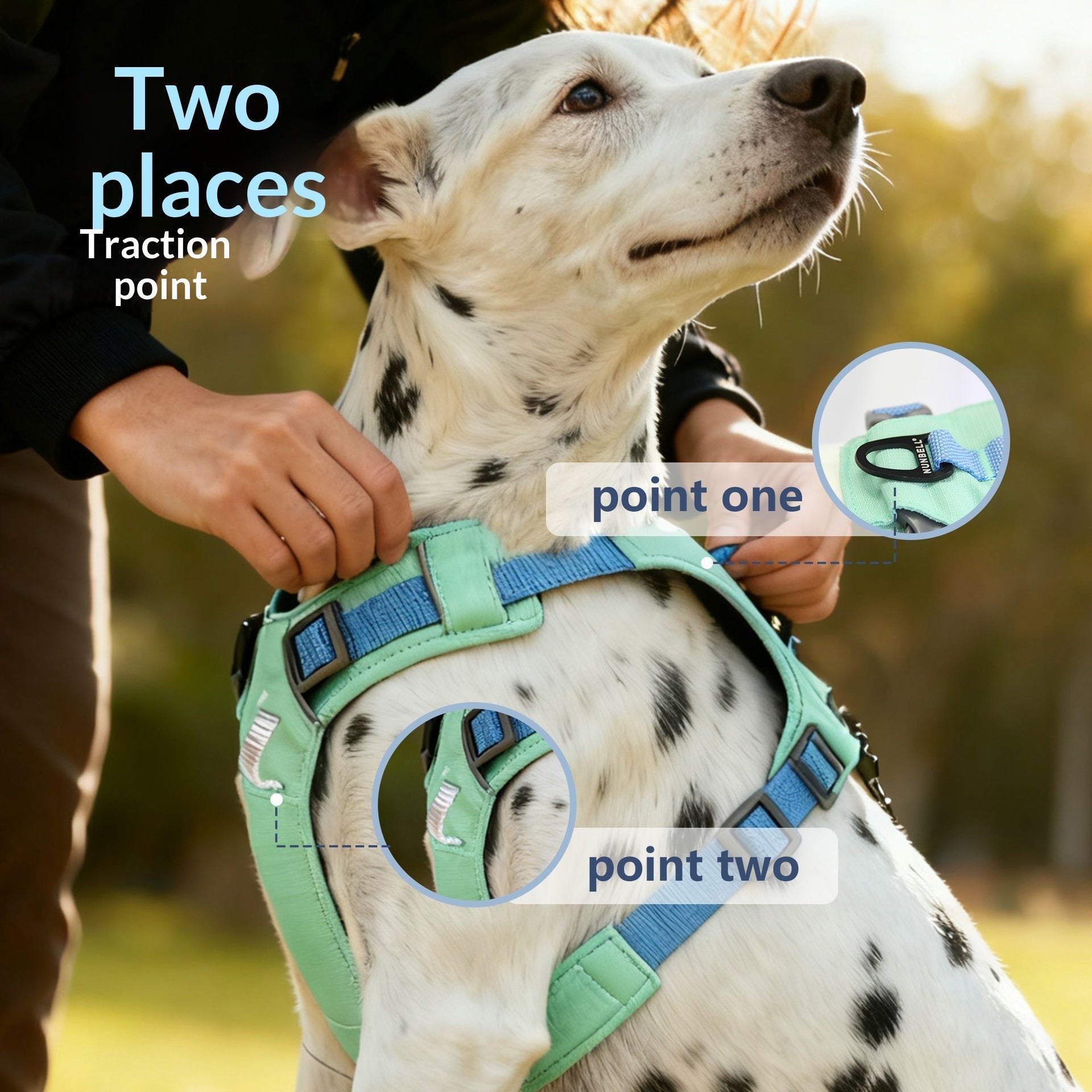 Dog Leash Set Designed To Prevent Pulling Suitable For Small Medium And Large Dogs - 0 - CJ