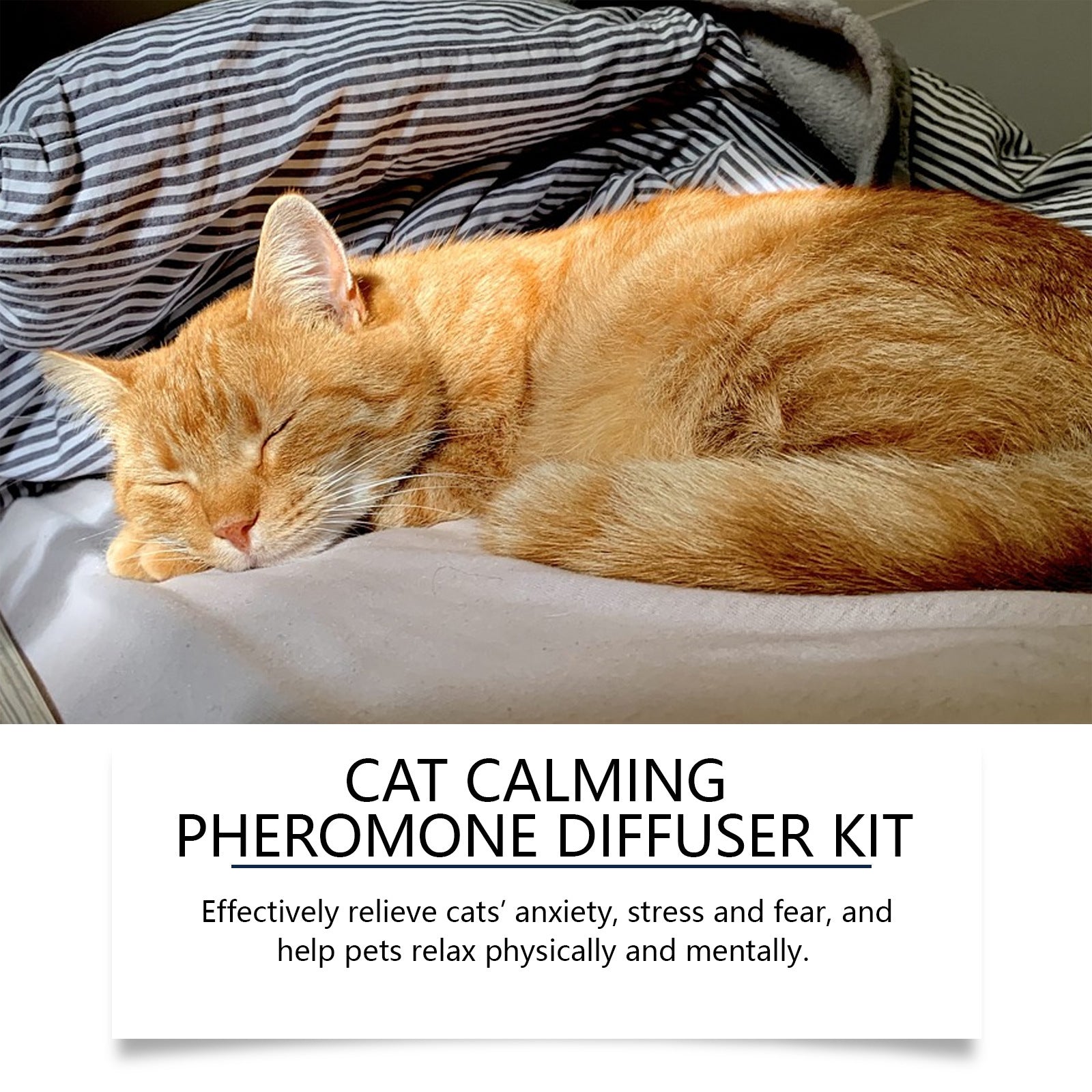 Cat Mood Diffuser Suit - 0 - CJ