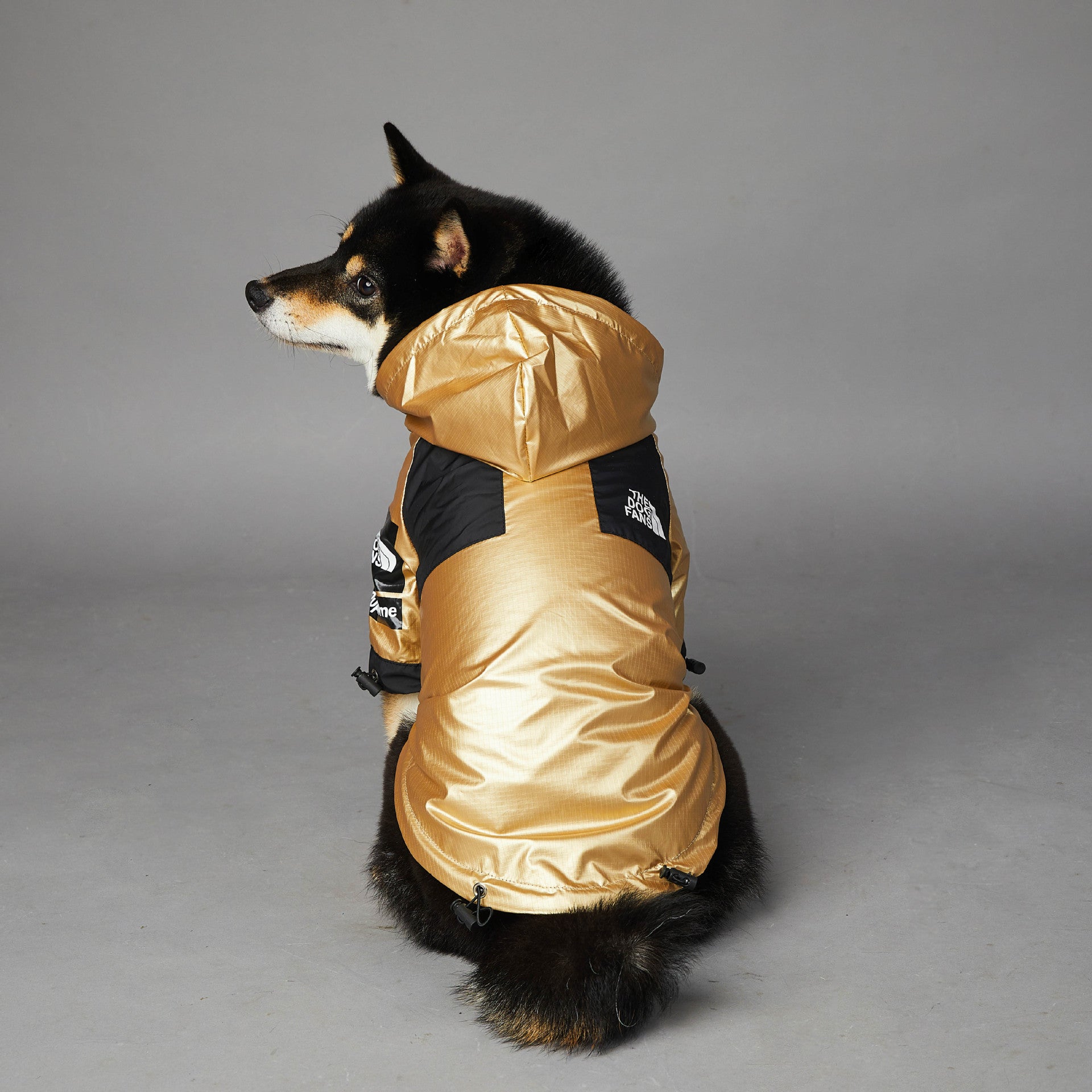 Dog Large Dog Raincoat Pet Jacket - 0 - CJ