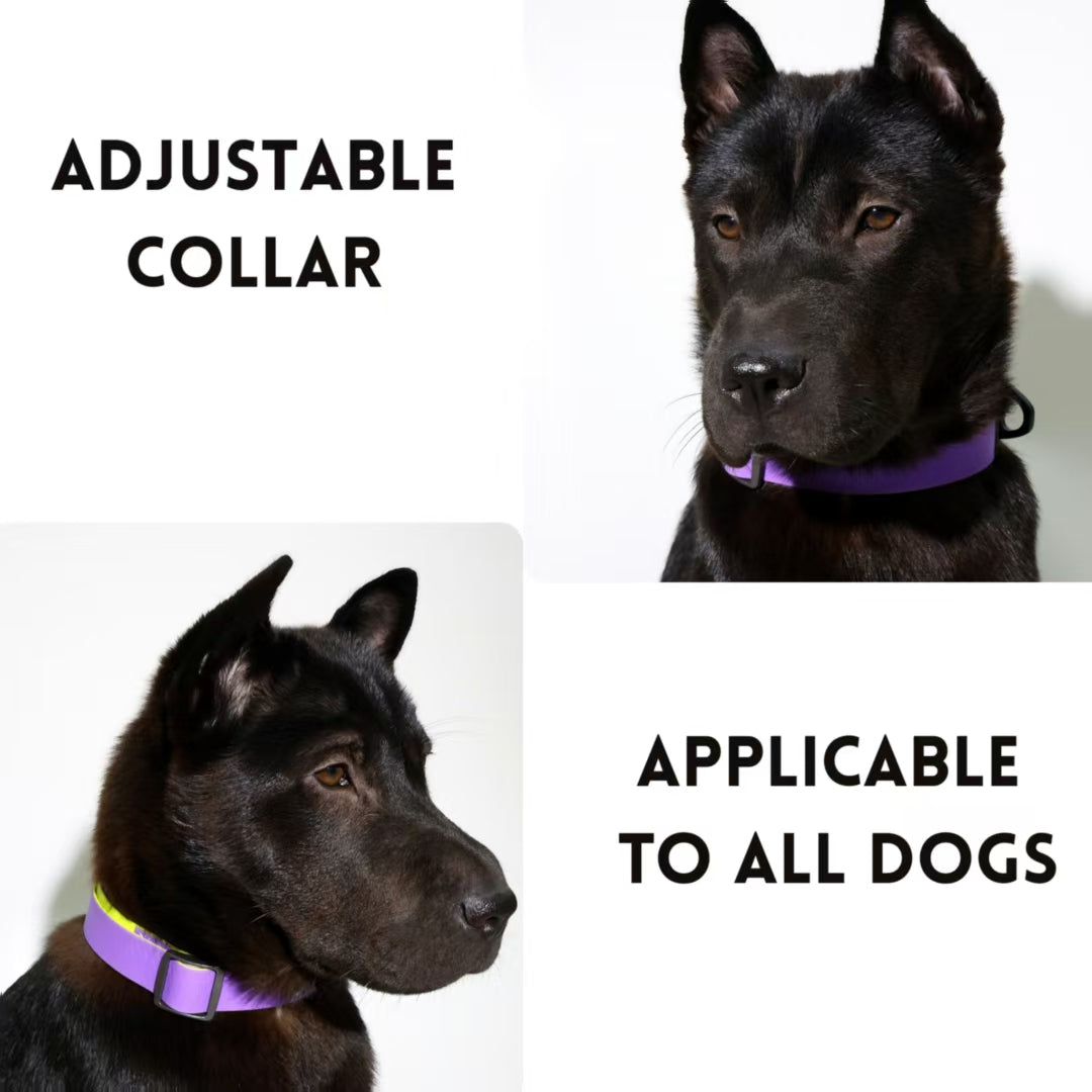 Honeycomb Embossed Dual - Color Pet Leash Set Is Stylish And Fashionable. The Embossed Surface Enhances The Leash's Grip, Preventing Slippage When Held. The Product Is Waterproof, Wear - resistant, Odor - r - 5 - CJ