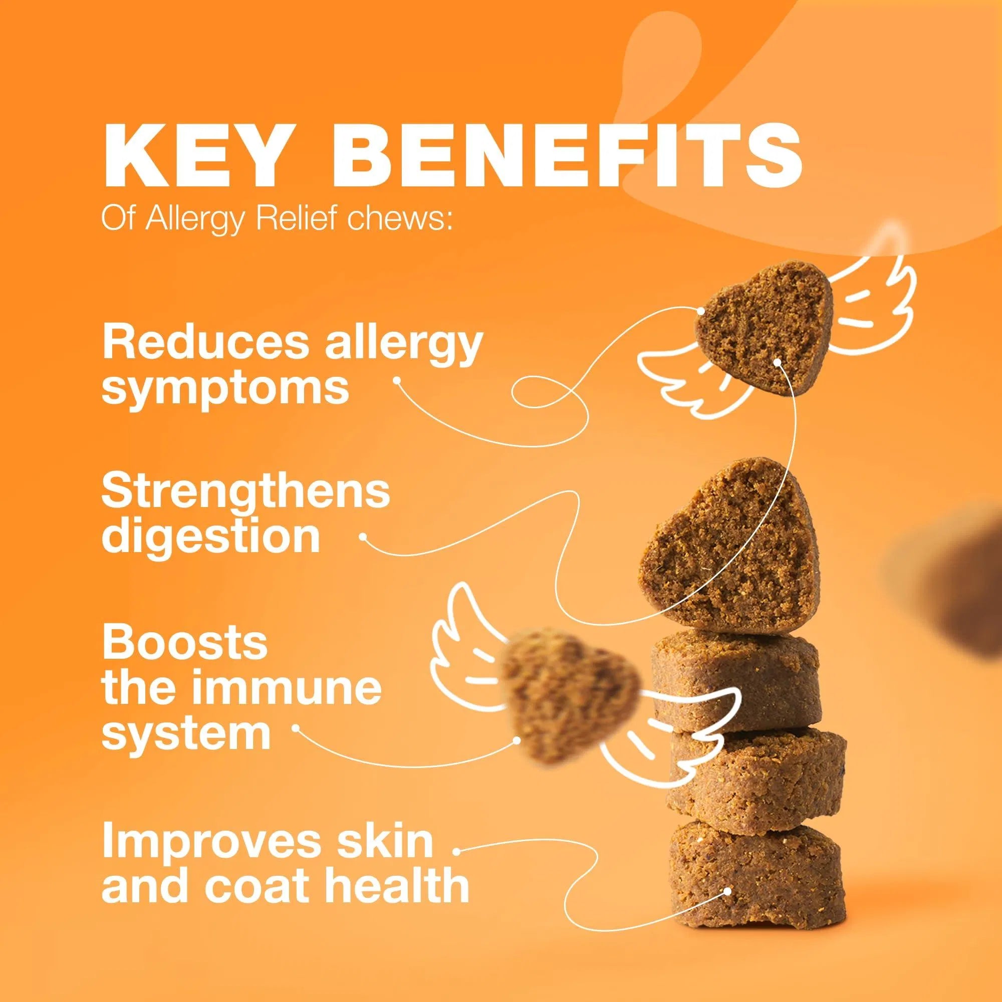 Dog Allergy Relief Chews Itch Relief For Dogs Anti Itch Dog Allergy Chews US Formulated Dog Itching Skin Relief With Salmon Oil Immune Health Seasonal Allergies & Hot Spots Support Treats - 5 - CJ