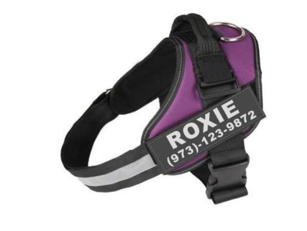 Personalized Custom Reflective Breathable Dog Harness NO PULL Adjustable Pet Harness For Small Large Dog Harness Vest With Patch - 7 - CJ
