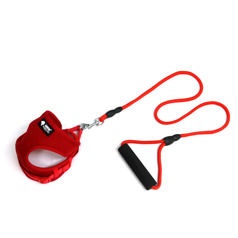 Dog leash dog leash dog collar - 0 - CJ