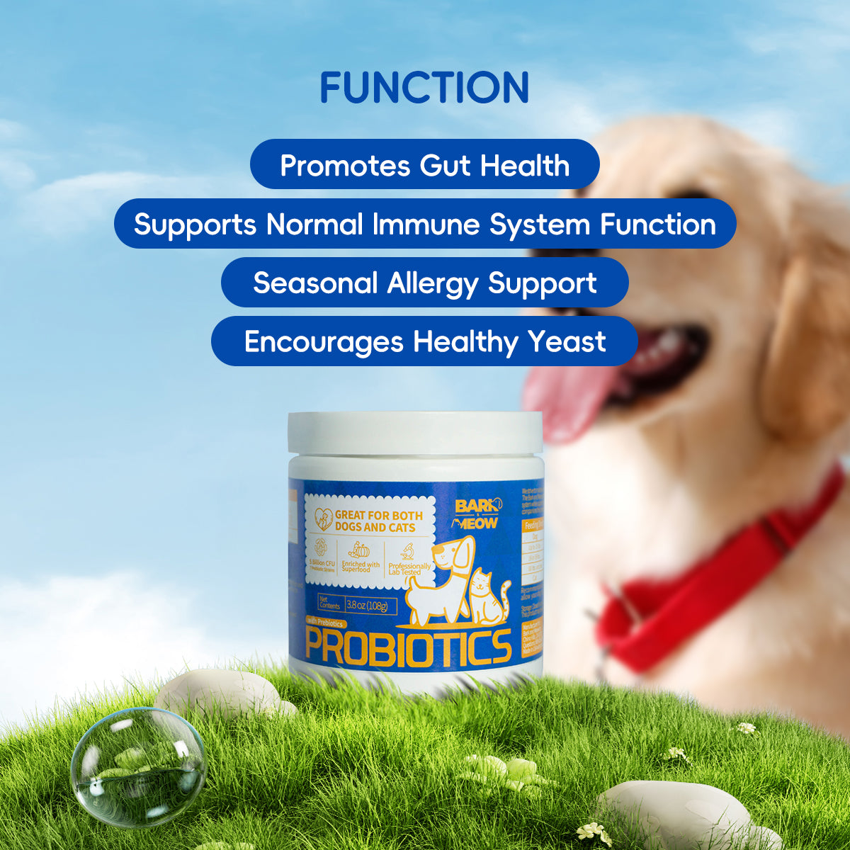 Bark And Meow Probiotics For Dogs & Cats 7 Tailored Strains Prebiotics, Pumpkin & Carrot 5 Billion CFU Scoop Human - Grade, Non - GMO, Vet - Approved, Made In USA, Gut & Immune Support - 5 - CJ