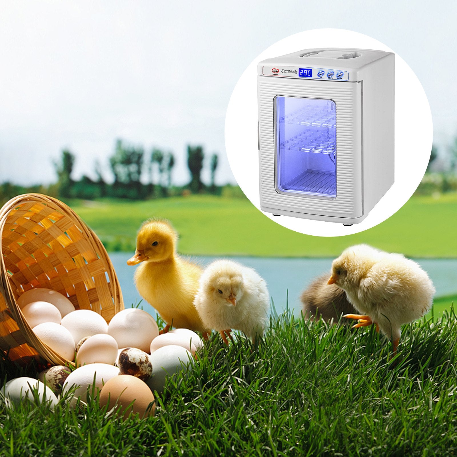 White Reptile Incubator 25L Scientific Lab Incubator Digital Incubator Cooling And Heating 5 - 42°C Reptile Egg Incubator 12V/110V Work For Small Reptiles - 5 - CJ