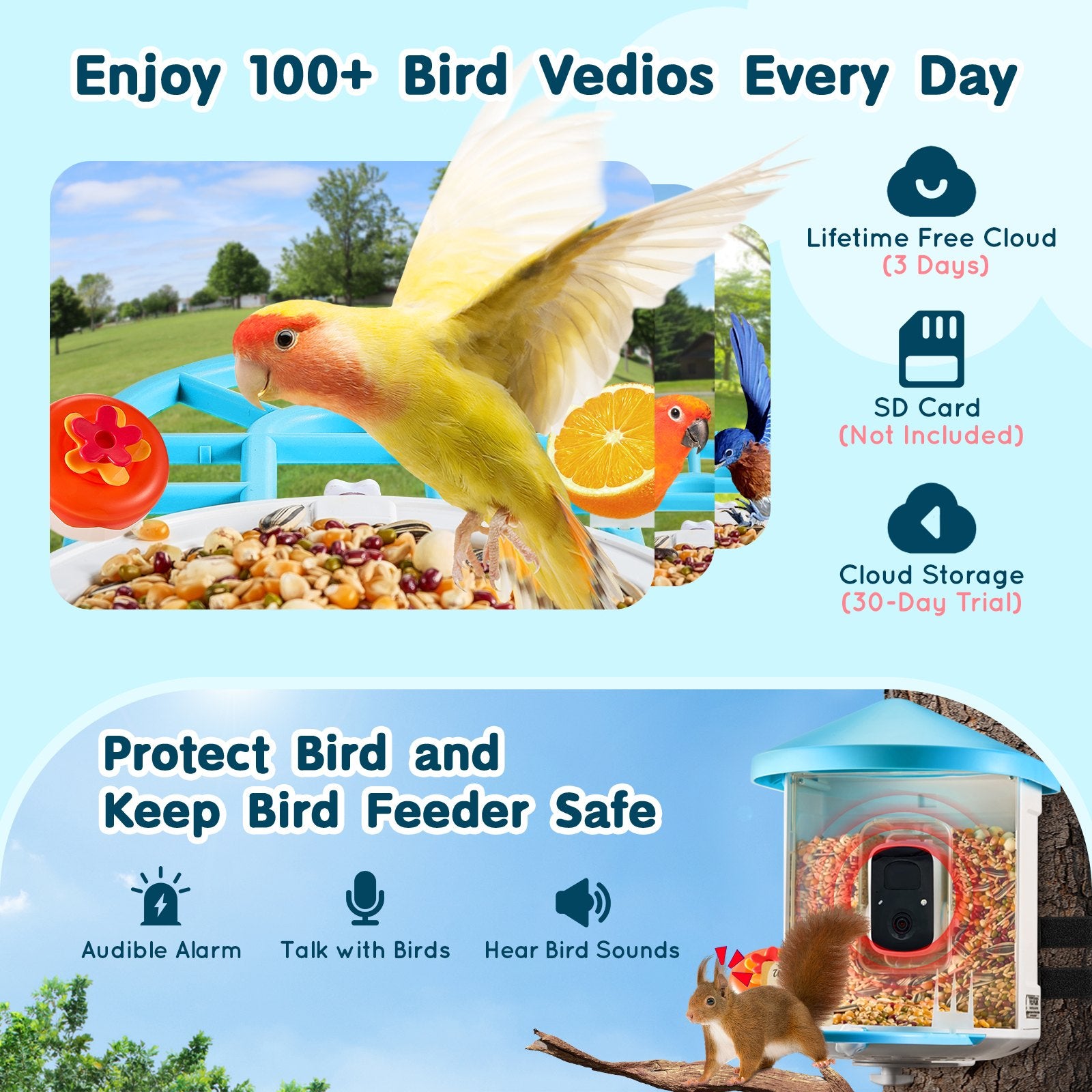 Smart Bird Feeder With Camera AI Identify 10000+ Bird Specie Solar - Powered - 5 - CJ