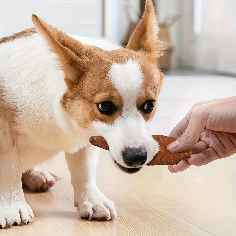 Pet - shaped Chik Chicken Wrapped In Rawhide Chewy Natural Meat Snack For Dogs Suitable For All Sizes. - 5 - CJ
