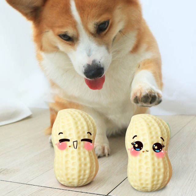 Funny Pet Dog Squeaky Toys For Small Middle Dogs Bite Resistant Puppy Cat Dogs Toys Pets Rubber Peanut Clean Tooth Chew Toy - 5 - CJ