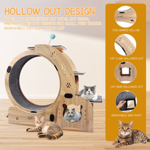 Cat Wheel 6 - in - 1 Cat Fitness Wheel - 5 - CJ