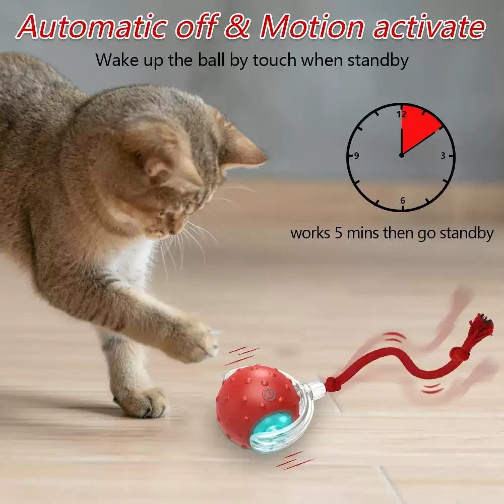 Interactive Cat Toy Ball Super Drive Cat Rolling Balls With - 0 - CJ