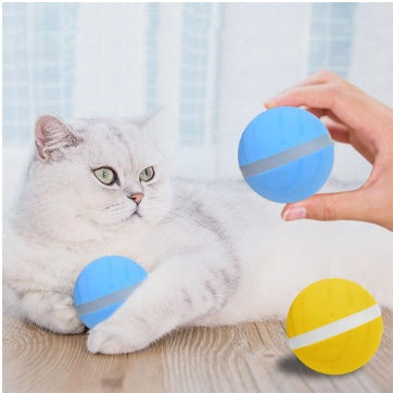 Smart Pet Toy Ball USB Charging - 0 - CJ