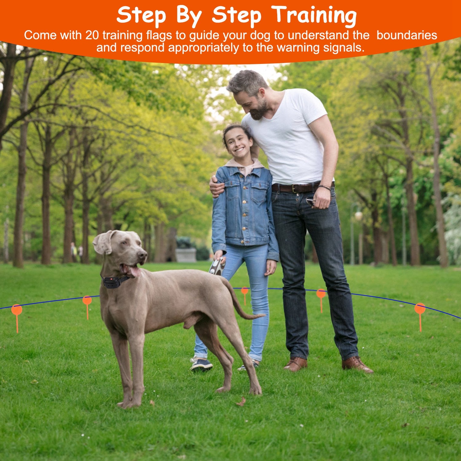 1Set Dog Fence System Pet Containment System With One Hundred Adjustable Levels IPX7 Waterproof Rechargeable Receiver Underground Fence For Small Medium Large Dog - 5 - CJ