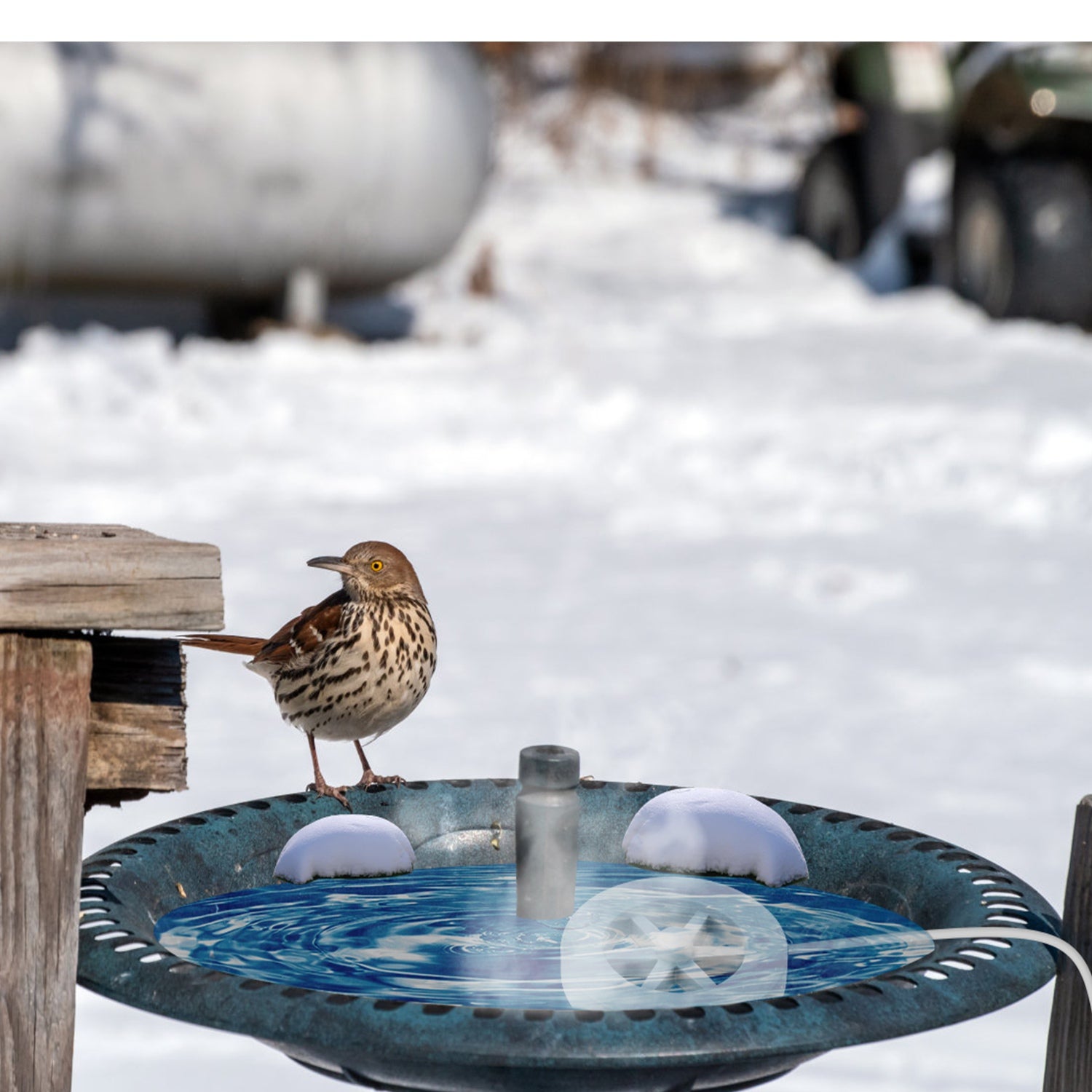70W Bird Bath Heater For Outdoors Winter Heated Bird Bath Deicer Waterproof Aluminum Alloy Water Heater With Thermostat Auto Shutdown For Yard Patio Farm - 5 - cjdroshippping