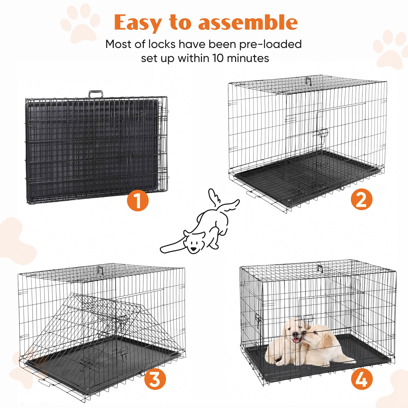A Dog Cage With Two Doors - 5 - CJ