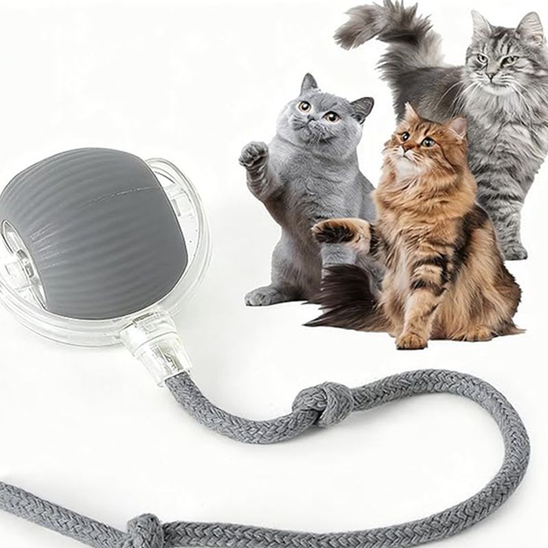 Cat Interactive Ball Toys Automatic Rolling Ball For Kitten Rechargeable Smart Pet Electric Toys With Teaser Sensor Cat Ball Toy - 4 - CJ