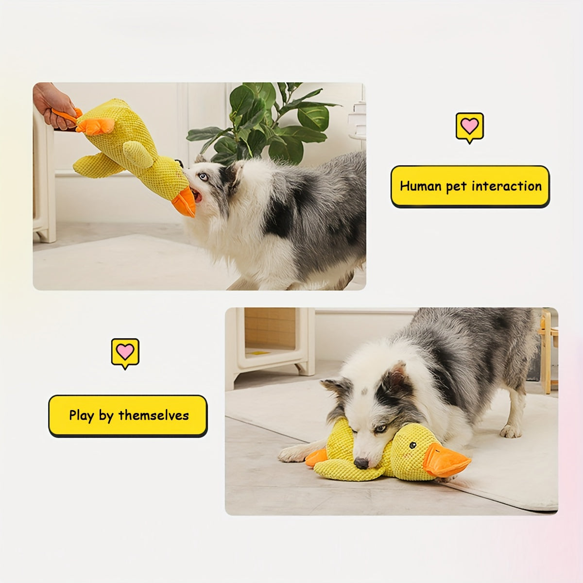 Best Pet Supplies Dog Toys For Small Medium And Large Breeds Cute No - Stuffed And Stuffed Duck With Soft Squeaky Fun For Indoor Puppies And Premium Puppies Plush No Mess Chewing And Playing - 4 - CJ