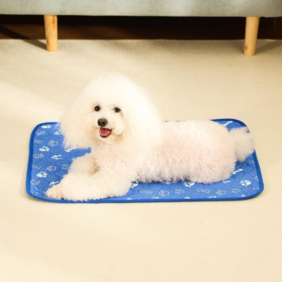 Breathable Absorbent Dog Training Pads Are Machine - washable Non - slip And Designed To Prevent Accidents - 0 - CJ