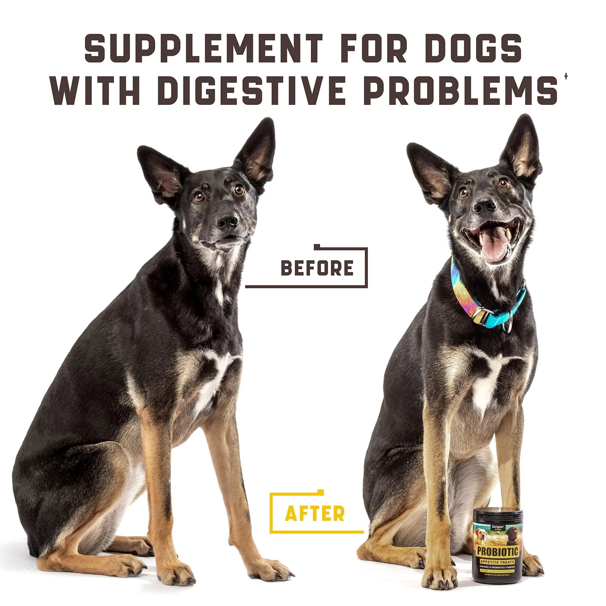 Probiotics For Dogs Support Gut Health Itchy Skin Allergies Yeast Balance Immunity Dog Probiotics And Digestive Enzymes For Small Medium And Large Dogs 180 Probiotic Chews For Dogs Duck Flavor - 5 - CJ