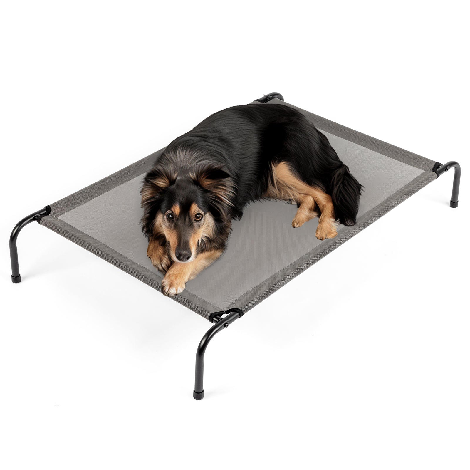 Pet Beds - 5 - CJ