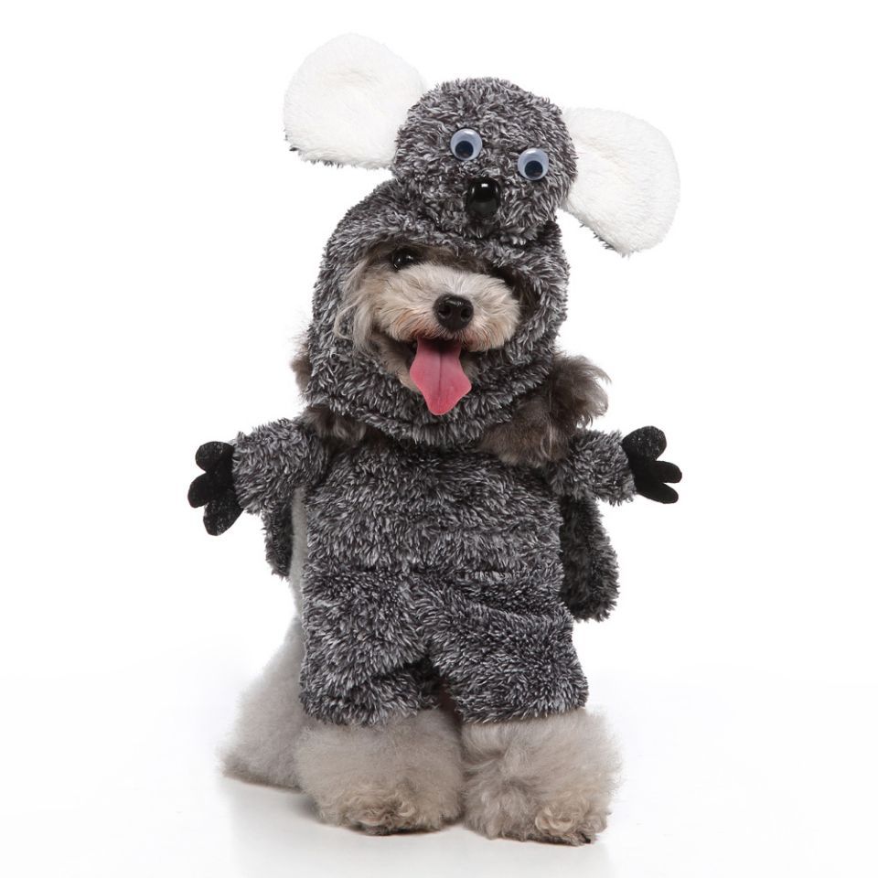 European And American Pet Products Clothing - 0 - CJ - PF73A Raccoon - XL - CJGD183684904DW