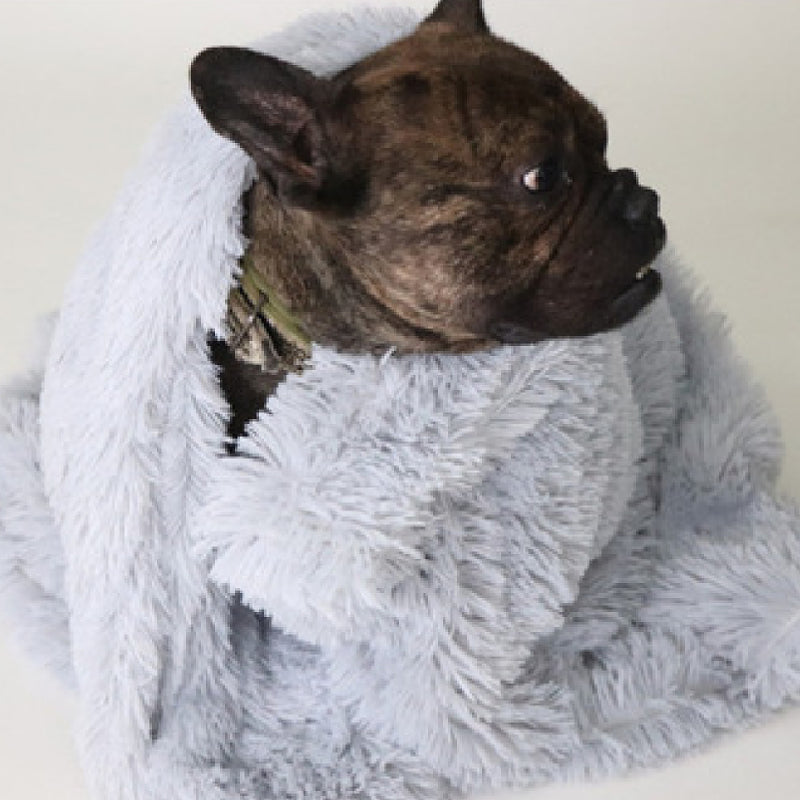 Pet Dog Cat Blankets - 0 - CJ